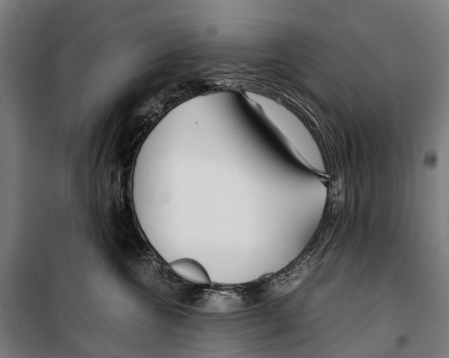 X0000099510572200806121441