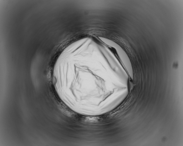 X0000099510573200806121441