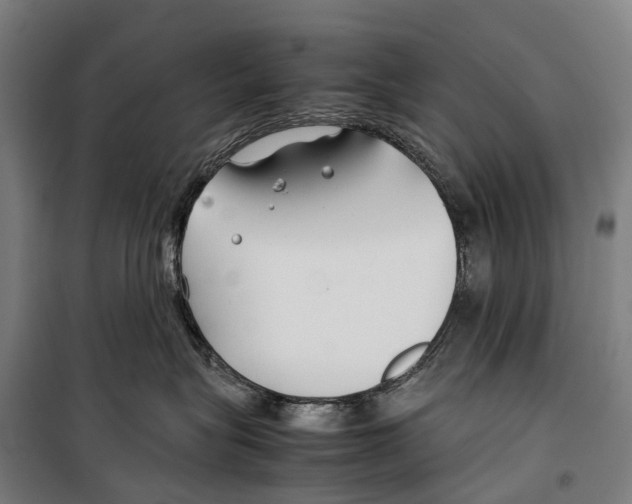 X0000099510575200806121441