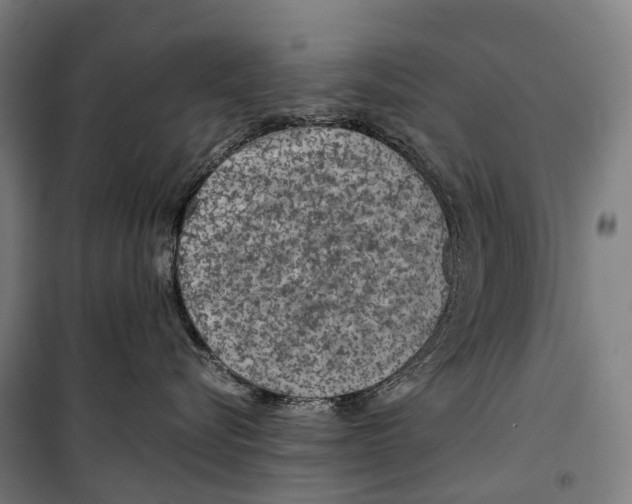 X0000099510576200806121442