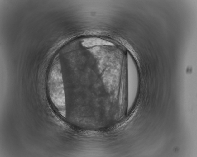 X0000099510577200806121441