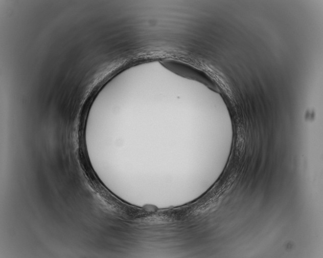 X0000099510578200806121441