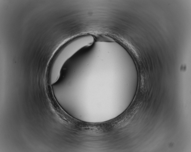 X0000099510580200806121441