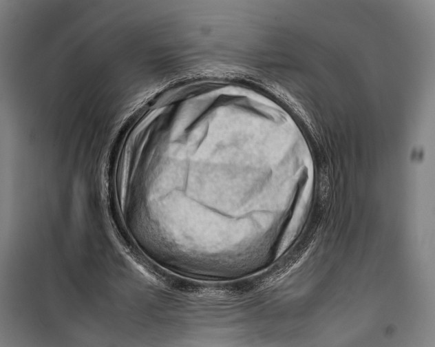 X0000099510581200806121441
