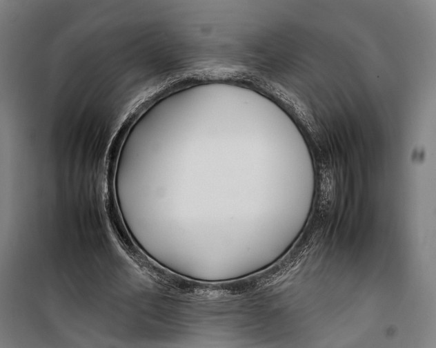 X0000099510582200806121441