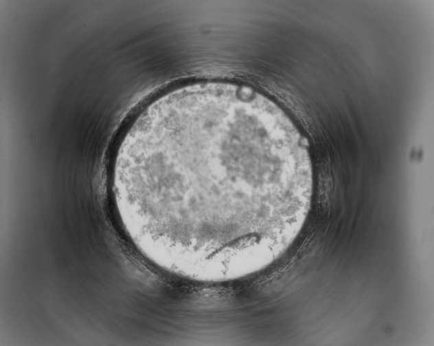 X0000099510584200806121441
