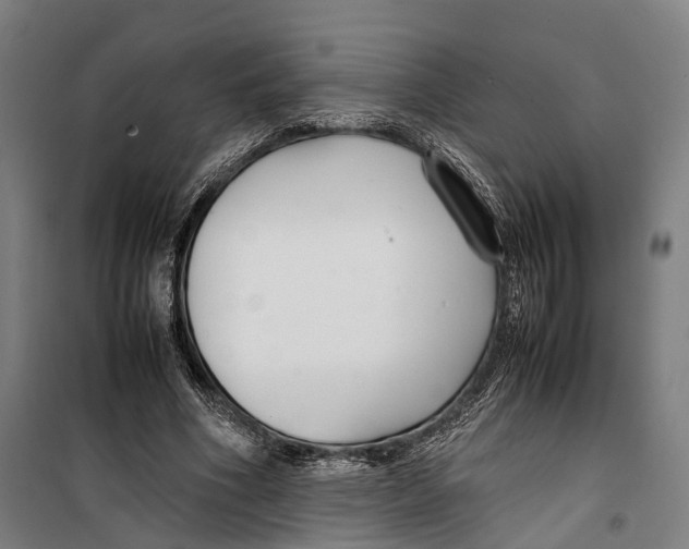 X0000099510586200806121441