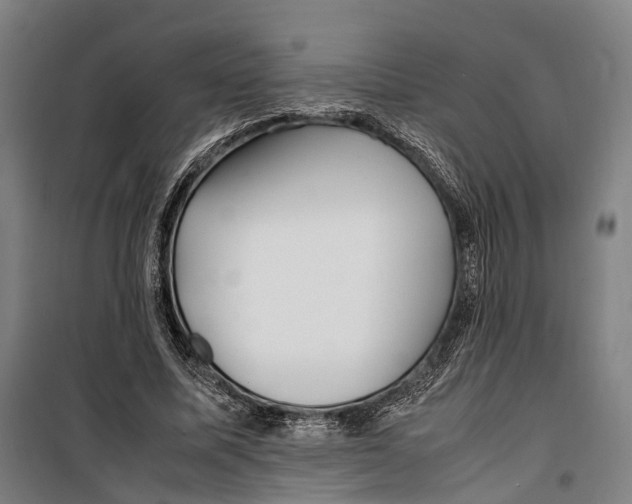 X0000099510587200806121441