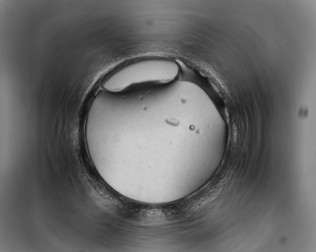 X0000099510588200806121441