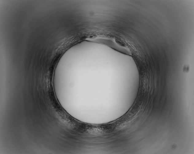 X0000099510594200806121441