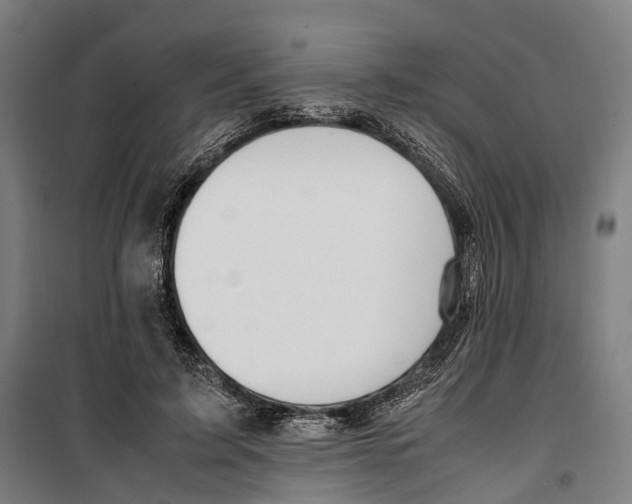 X0000099510595200806121441