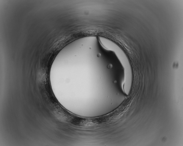 X0000099510597200806121441