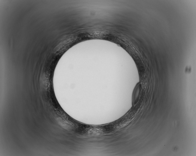 X0000099510599200806121441