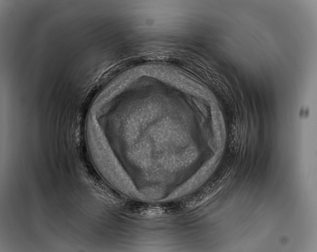 X0000099510600200806121441