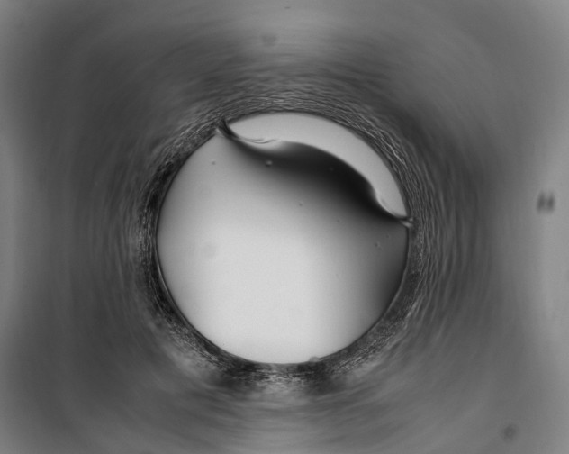 X0000099510601200806121440