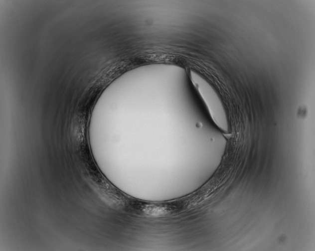 X0000099510602200806121440