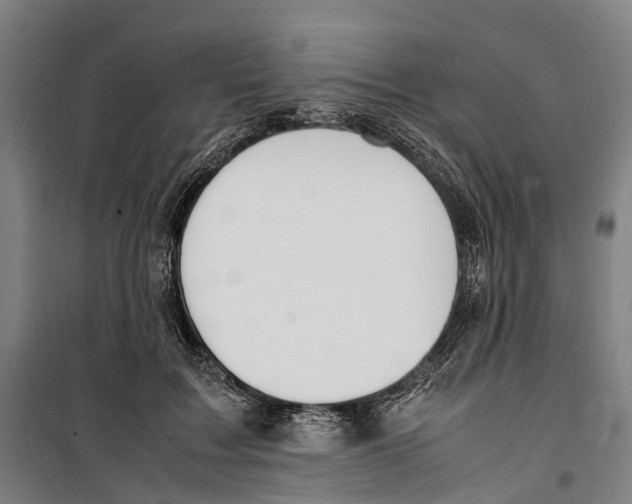 X0000099510603200806121440