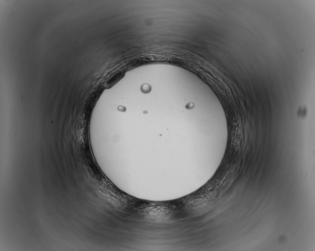 X0000099510604200806121440