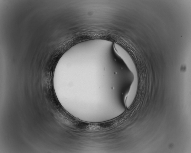 X0000099510605200806121440