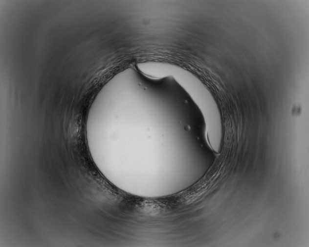 X0000099510608200806121440