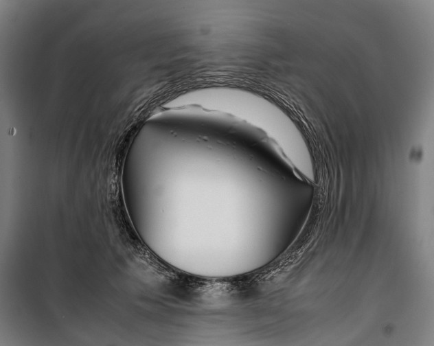 X0000099510609200806121440