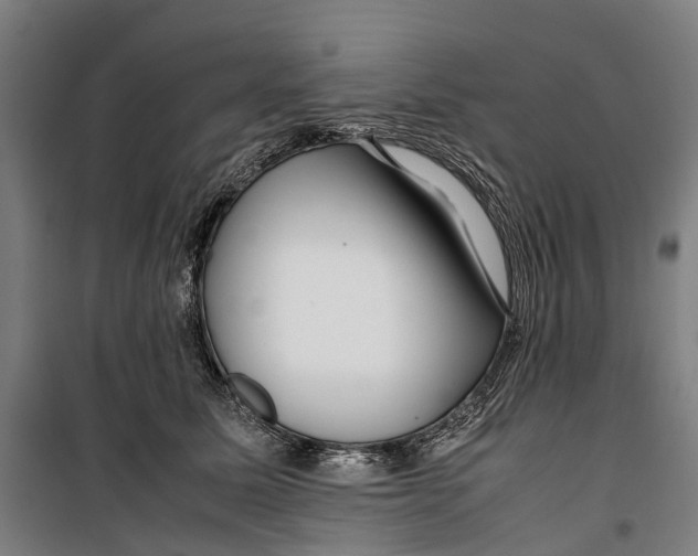 X0000099510611200806121440