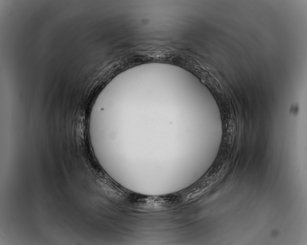 X0000099510612200806121440