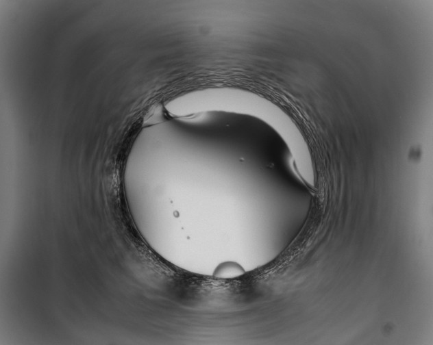 X0000099510613200806121440
