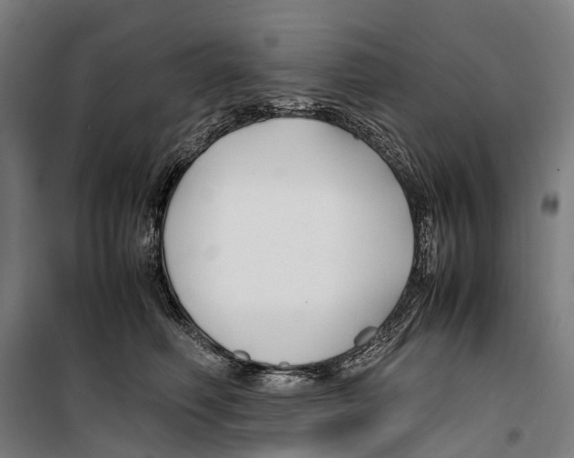 X0000099510614200806121440