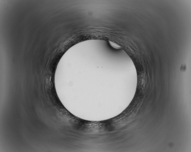 X0000099510615200806121440
