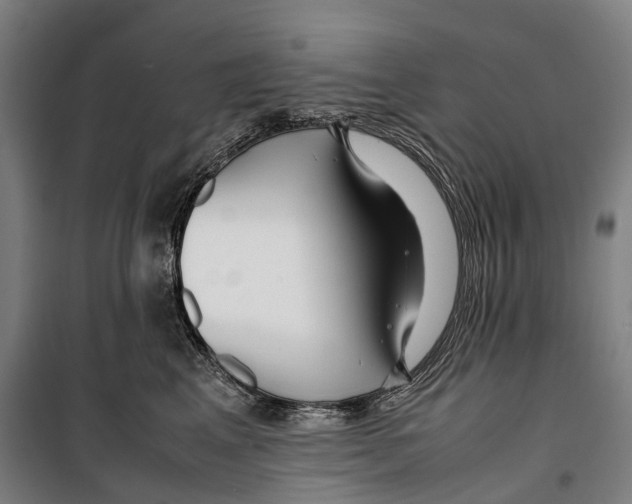 X0000099510617200806121440