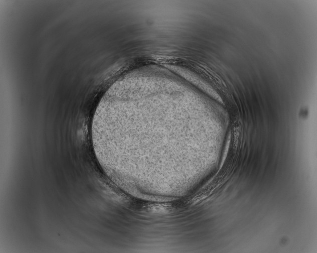 X0000099510618200806121440