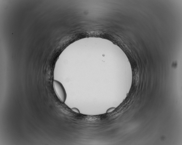 X0000099510619200806121440