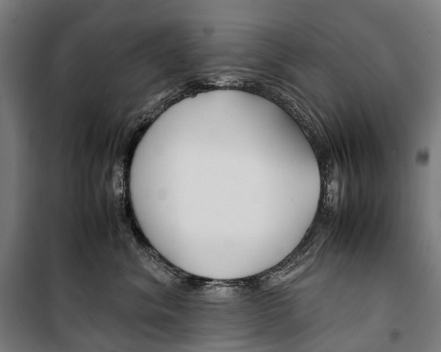 X0000099510620200806121440