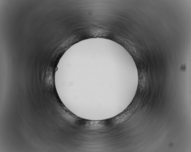 X0000099510622200806121440