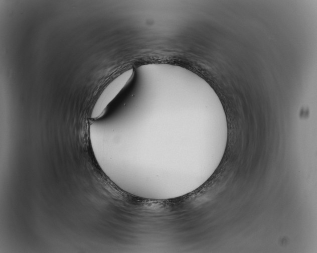 X0000099510624200806121440