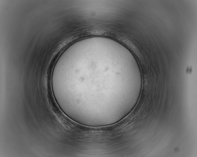 X0000099510626200806121439