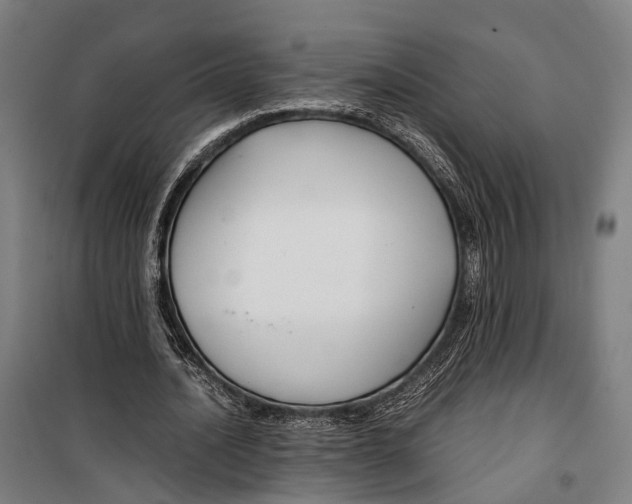 X0000099510628200806121439