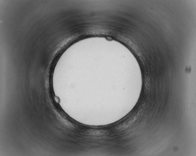 X0000099510629200806121439