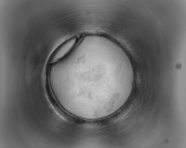 X0000099510630200806121439