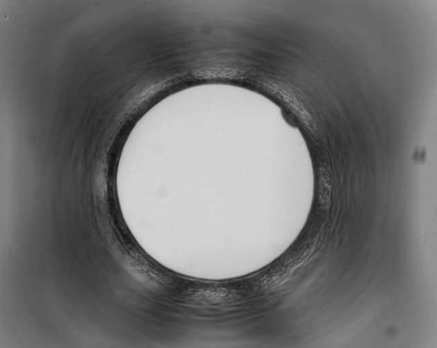 X0000099510631200806121439