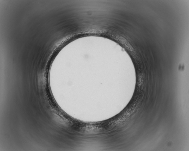 X0000099510632200806121439