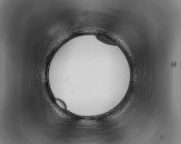 X0000099510633200806121439