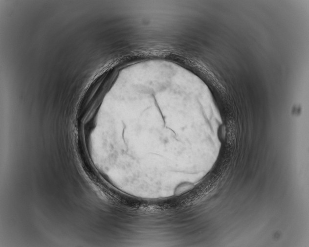 X0000099510634200806121439