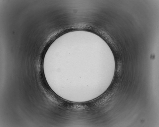 X0000099510636200806121439