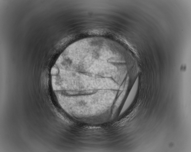 X0000099510637200806121439