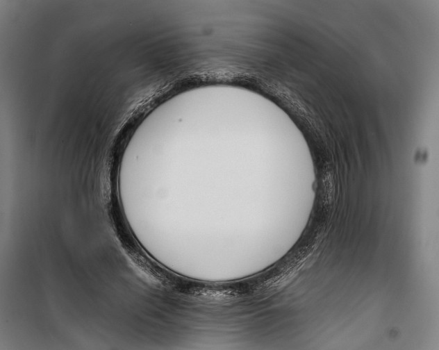 X0000099510638200806121440