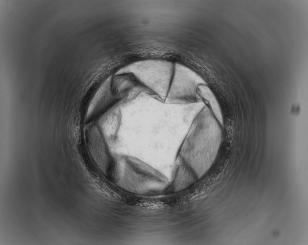 X0000099510642200806121440