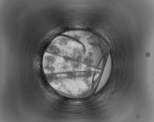 X0000099510643200806121440