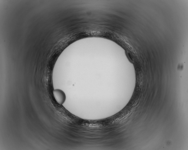 X0000099510645200806121440